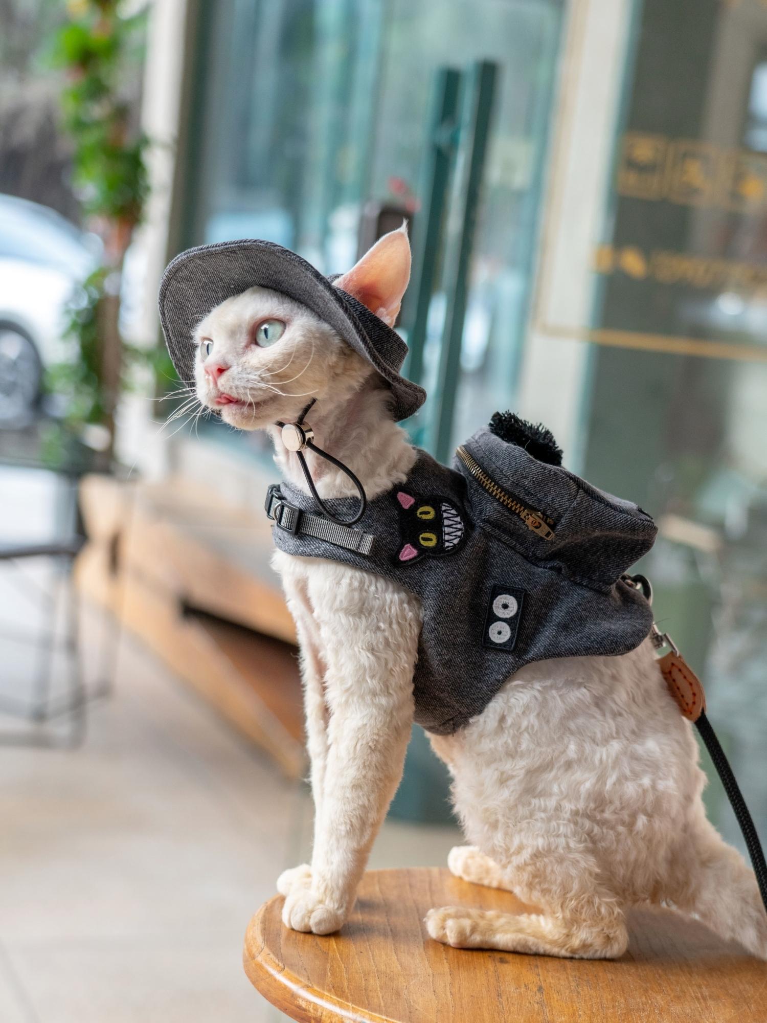 Handmade Luxury Travel Cat Car - Luxury Bags Cute 评论和价格
